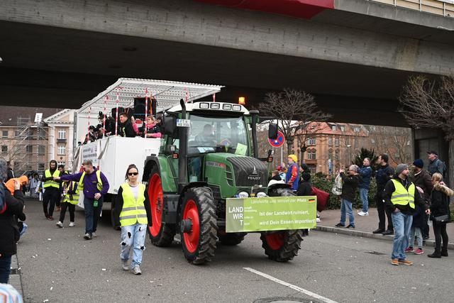 Foto: Gaier/Basaric-Steinhübl
