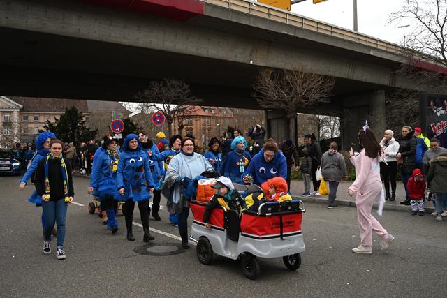 Foto: Gaier/Basaric-Steinhübl
