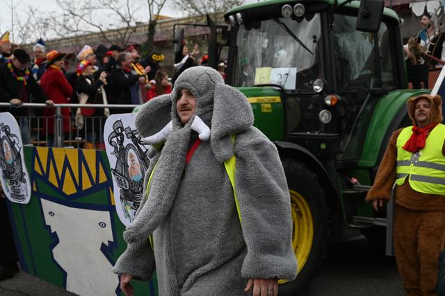 Foto: Gaier/Basaric-Steinhübl