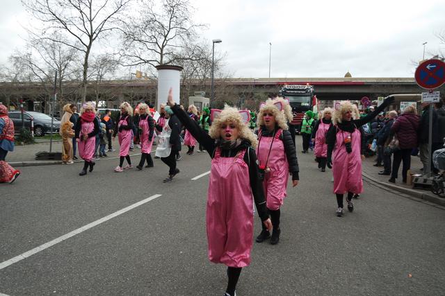 Foto: Gaier/Basaric-Steinhübl