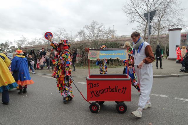 Foto: Gaier/Basaric-Steinhübl