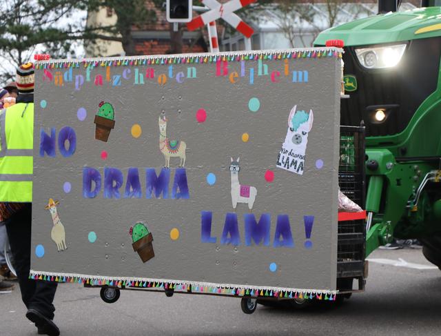 Foto: Heike Schwitalla