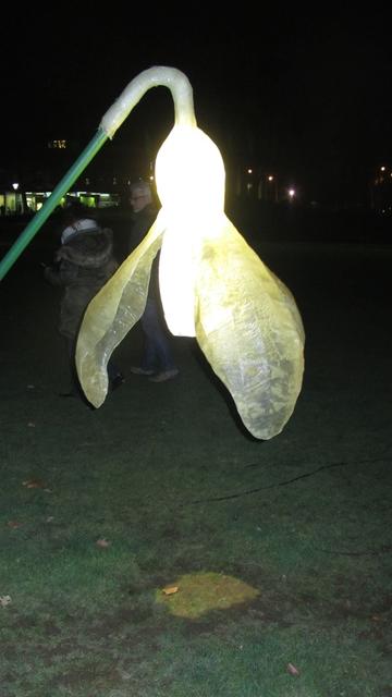 Aus einem der vorherigen Winterlichter-Jahre | Foto: Brigitte Melder