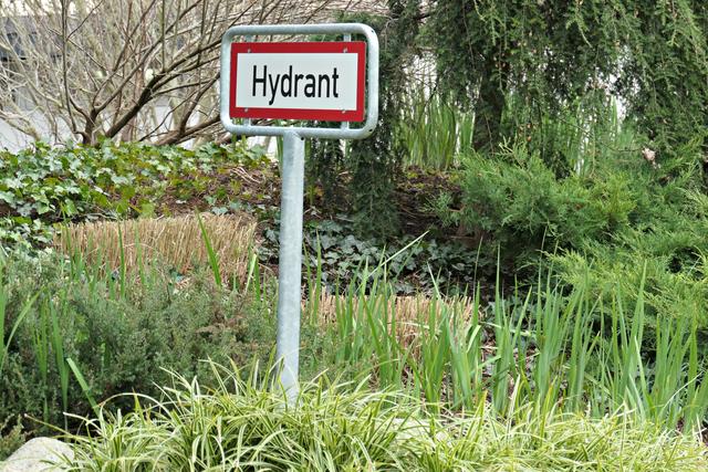 Dominierendes Schild - Aha, keine Blumensorte ;-) | Foto: Brigitte Melder