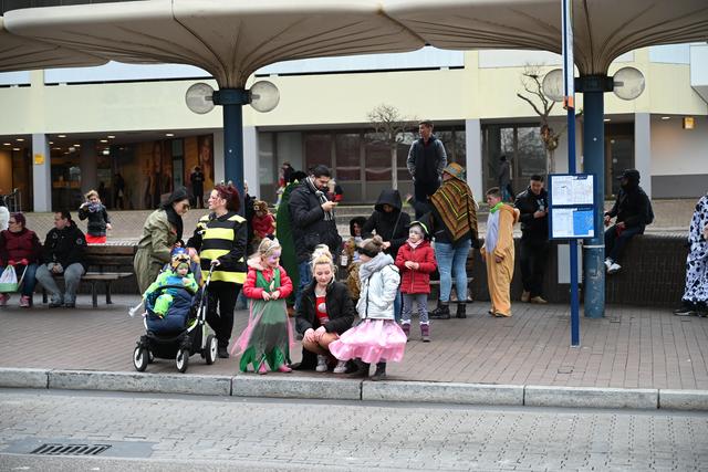 Foto: Gaier/Basaric-Steinhübl