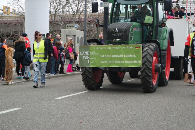 Foto: Gaier/Basaric-Steinhübl