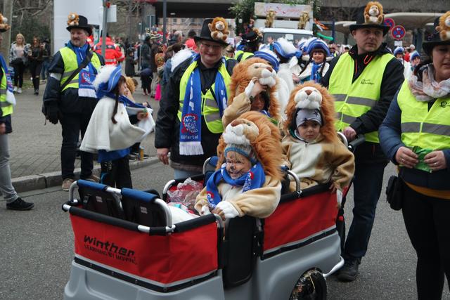 Foto: Gaier/Basaric-Steinhübl