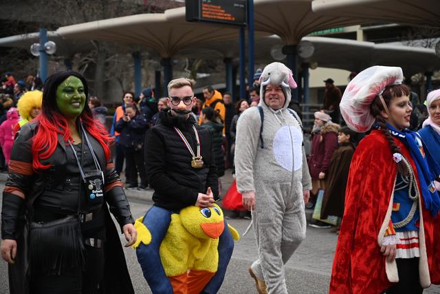 Foto: Gaier/Basaric-Steinhübl