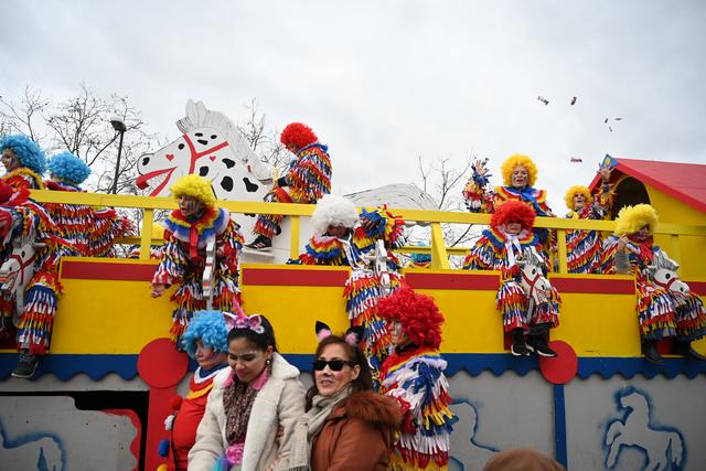 Foto: Gaier/Basaric-Steinhübl