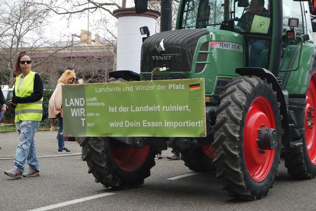 Foto: Gaier/Basaric-Steinhübl