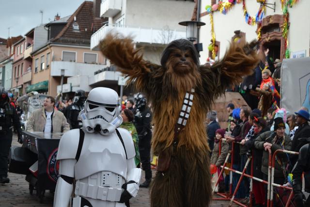 Foto: Frank Schäfer