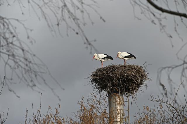 Foto: Ilona Schäfer