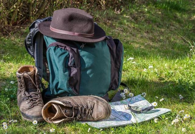 2020 sollen wieder einige Sonderwanderungen stattfinden | Foto: Pixabay/maxmann