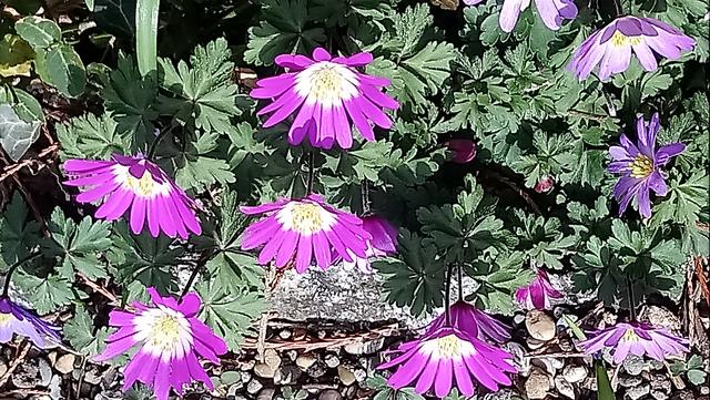 Foto: Kristin Hätterich