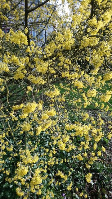 Foto: Kristin Hätterich