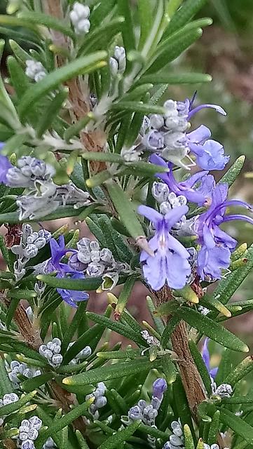 Foto: Kristin Hätterich