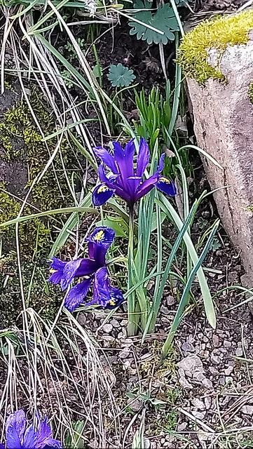 Foto: Kristin Hätterich