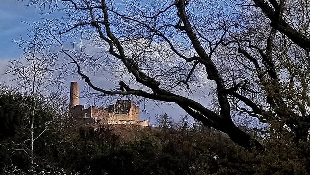 Weinheim | Foto: Kristin Hätterich