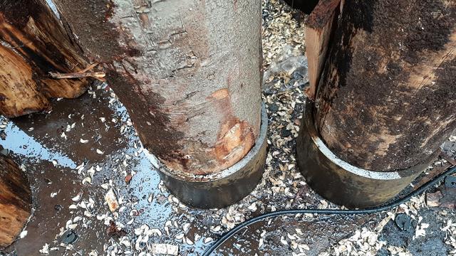 Gewaltig: Die Baumstämme für die Stützkonstruktion | Foto: Tim Altschuck