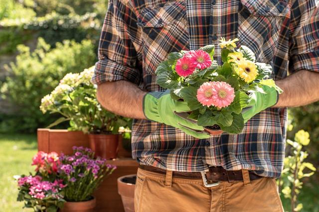 Der eigene Garten sollte eine Wohlfühloase sein. Im Frühling kann man dafür den Grundstein legen. Produkte, Tipps und Beratung zu den aktuellen Frühlingstrends erhalten Hobbygärtner im Floraland in Landau.