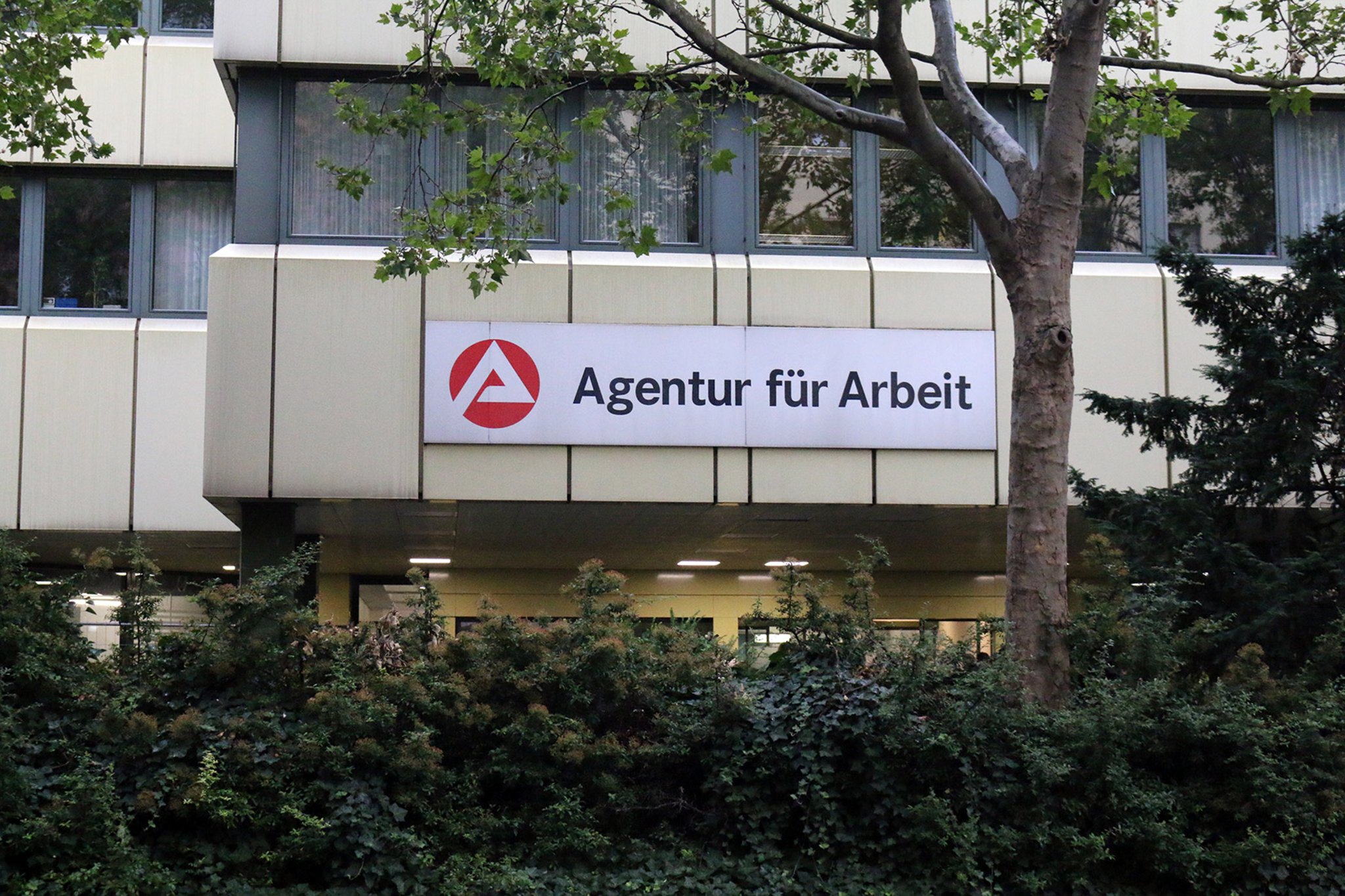 Agentur Fur Arbeit Frankenthal Informiert Personliche Vorsprache Nicht In Jedem Fall Notwendig Frankenthal