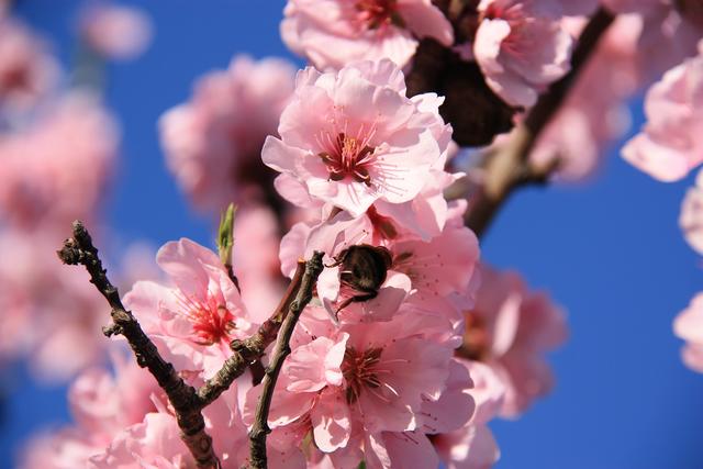 Archivfoto | Foto: Jens Vollmer