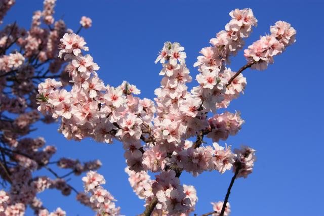 Archivfoto | Foto: Jens Vollmer