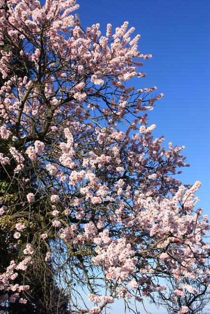 Archivfoto | Foto: Jens Vollmer