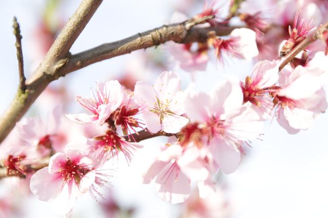 Archivfoto | Foto: Jens Vollmer