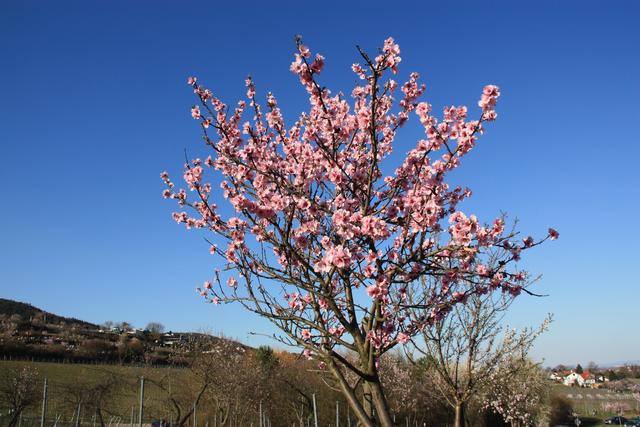 Archivfoto | Foto: Jens Vollmer