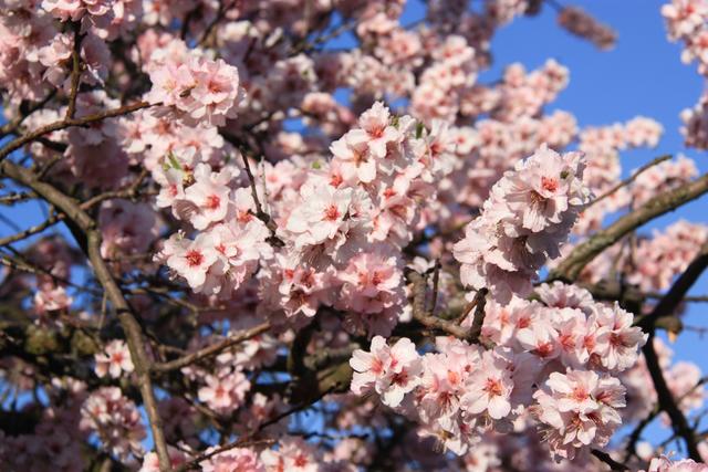 Archivfoto | Foto: Jens Vollmer