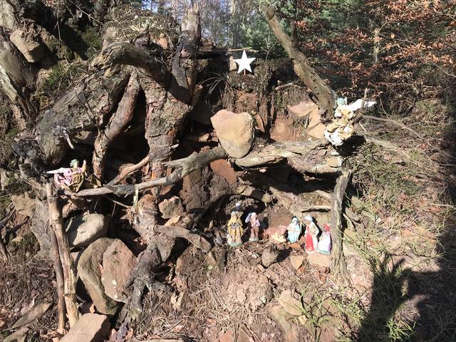 Es weihnachtet im Pfälzer Wald.