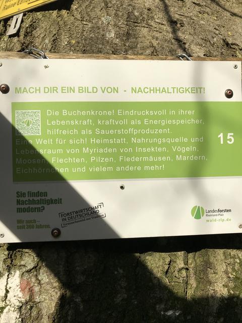 Am Eingang des Buntsandsteinweges in Annweiler.