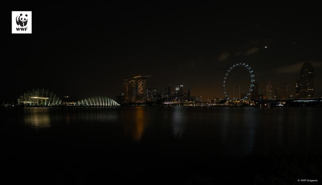 Blick in die Welt: "Earth Hour" in Singapur | Foto: WWF Singapore