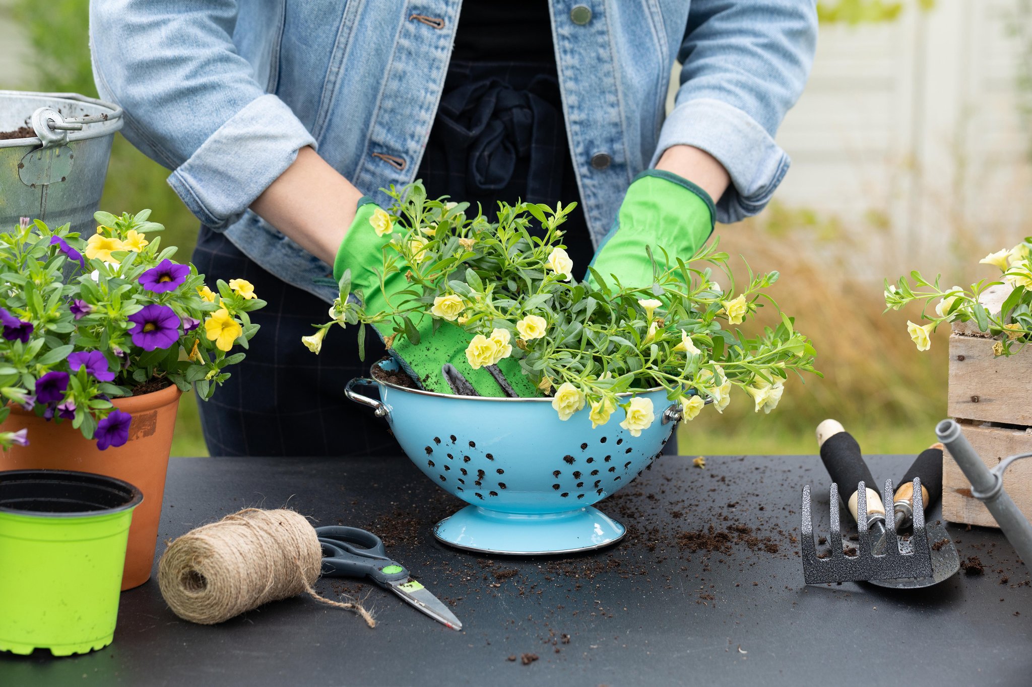 Entspannung und Sport alles zu Hause Gesunde Gartenarbeit ist