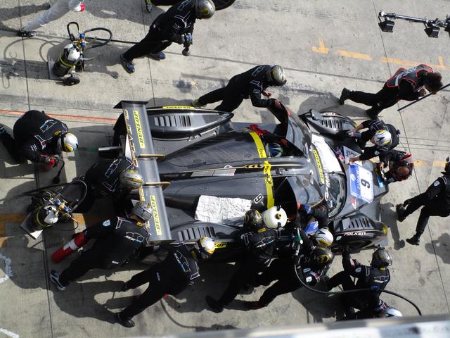 Foto: Michael Sonnick