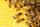 Symbolbild | Foto: PollyDot/Pixabay 