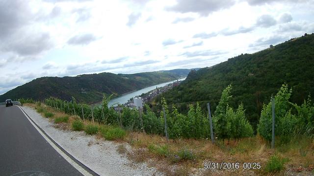 Immer noch auf dem Rheinsteig