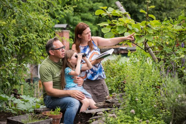 Der NABU ruft wieder zur Stunde der Gartenvögel auf und bittet um Meldungen der gesichteten Vögel im Garten. | Foto: NABU