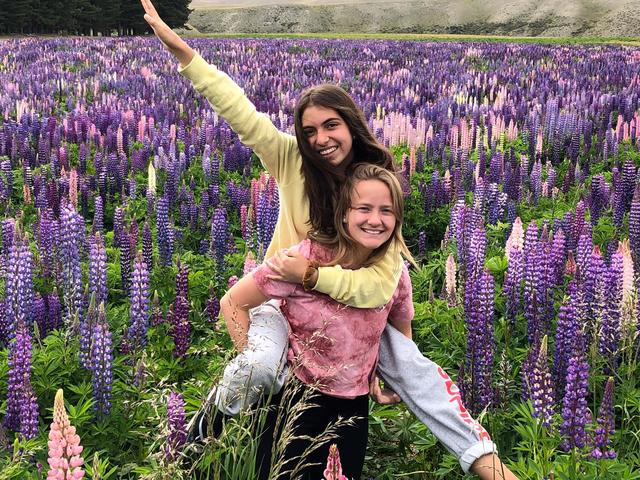 Amelie Bruhns mit ihrer Freundin Lena in einem Feld auf dem Weg vom Lake Tekapo nach Christchurch | Foto: privat