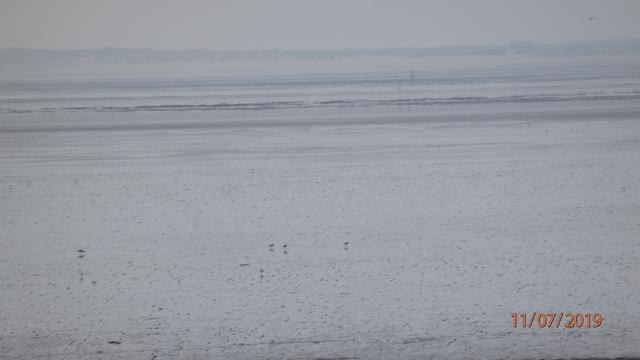 Insel Spiekeroog | Foto: H.S.B.