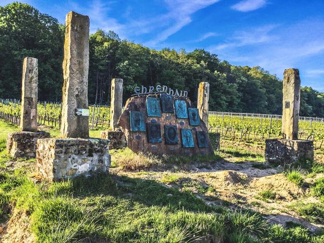 Die Station „Ehrenhain" liefert Informationen über die Vita der geehrten Weinpersönlichkeiten. | Foto: Foto Z. Haggag