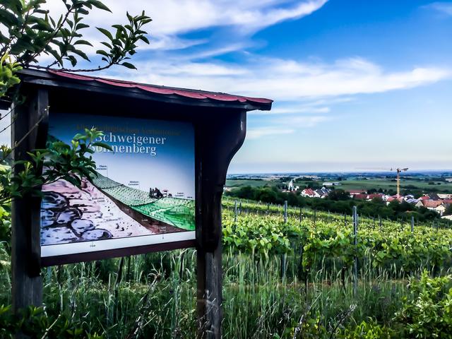 Die Station „Sonnenberg" bietet Informationen über die Geologie und den Naturschutz am Sonnenberg. | Foto: Foto Z. Haggag