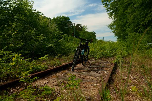 vergessenes Bahngleis beim Vogelpark