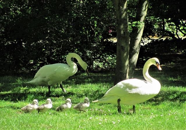 Frühlingsspaziergang