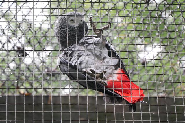 Der Vogelpark Schifferstadt | Foto: Heike Schwitalla