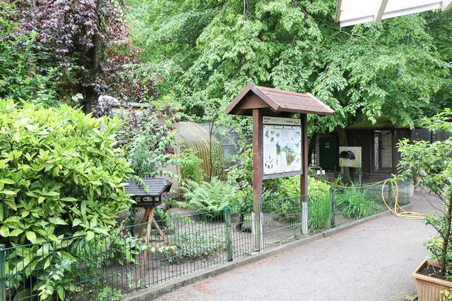 Der Vogelpark Schifferstadt | Foto: Heike Schwitalla