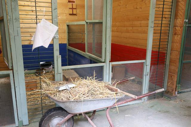 Obwohl der Vogelpark Schifferstadt derzeit wegen Corona geschlossen ist, gibt es viel zu tun | Foto: Heike Schwitalla
