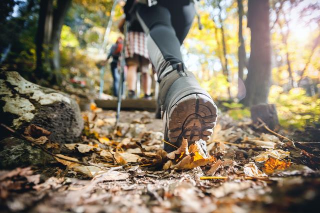An Fronleichmam kann man wunderbar durch den Pfälzerwald wandern und in eine der Waldhütten und Naturfreundehäuser einkehren. | Foto: leszekglasner/adobe.stock.com