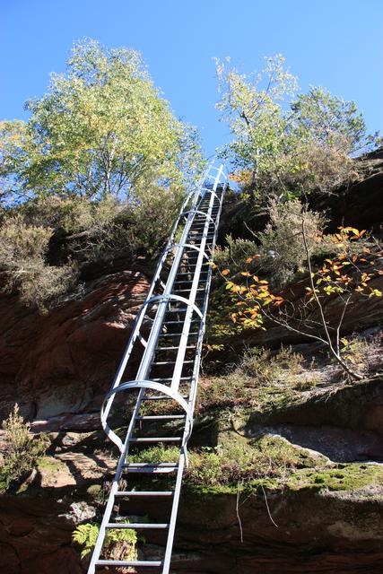 Leiter zum Hühnerstein auf dem Premiumwanderweg Schusterpfad in Hauenstein | Foto: Jens Vollmer